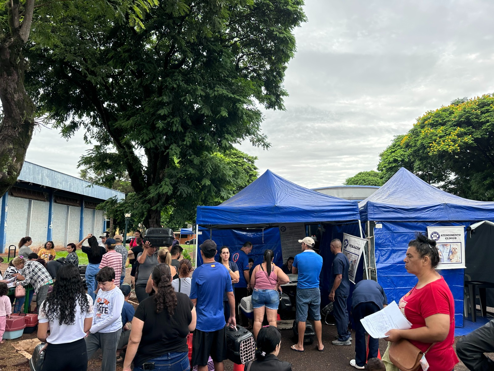 Programa de castração de cães e gatos promovido pela Prefeitura de Sarandi realizará 200 procedimentos nesta segunda, 8.